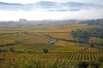 La llegada del otoño inunda de colores los viñedos del Bierzo